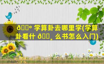 🌺 学算卦去哪里学(学算卦看什 🕸 么书怎么入门)